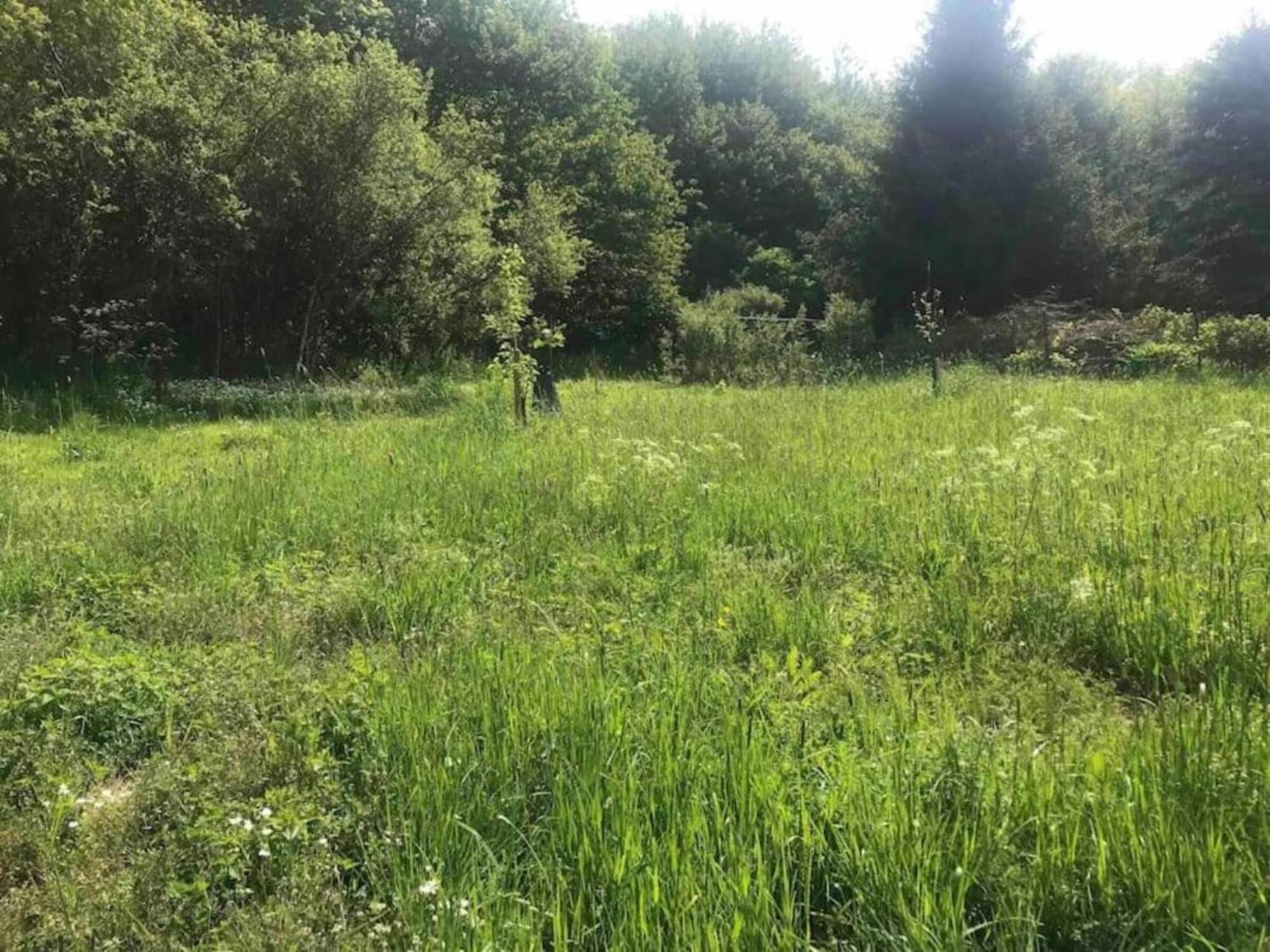 Cozy Apartment In Immerath With Fishing Near Екстериор снимка